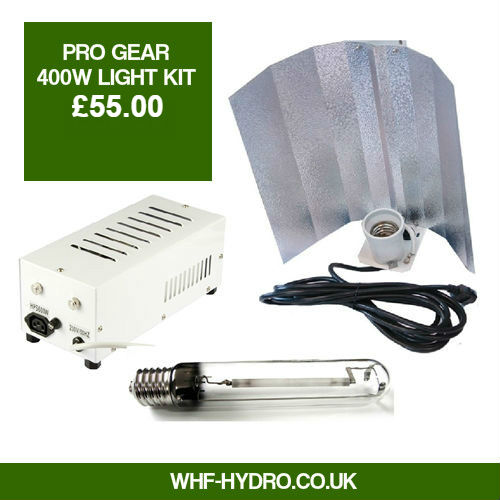 Pro Gear 400w Light Kit